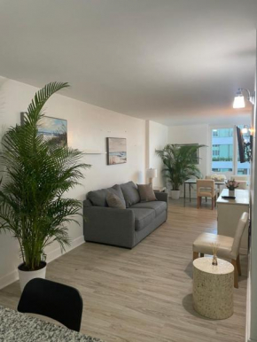 Large 1 Bedroom apartment at Roney Palace Sleep 8, Miami Beach